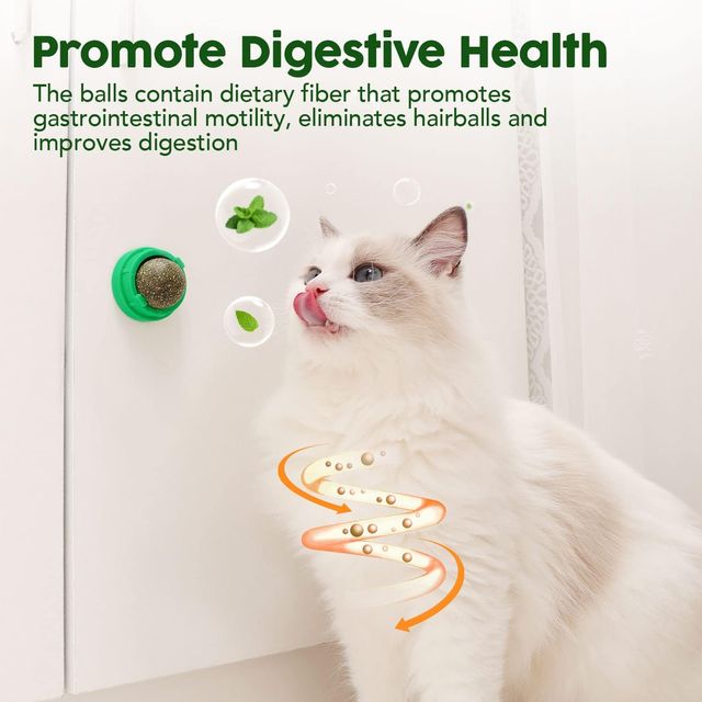 Wehao Catnip Balls for Play And Dental Health