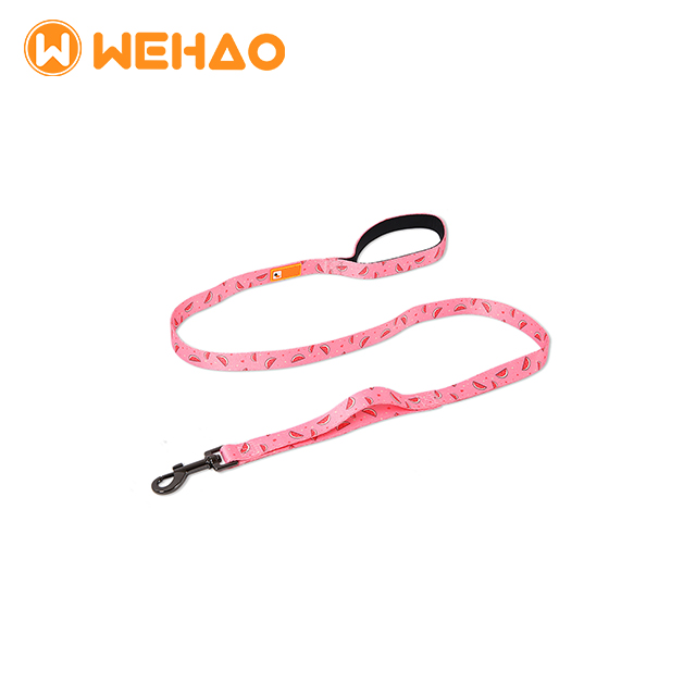 Wehao Dual Handle Dog Leash Durable Nylon Traffic Leash 6FT