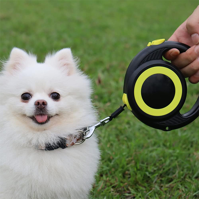 Wehao Retractable Dog Leash 16FT Tangle Free for Small Dogs