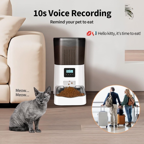 10S Voice Recording