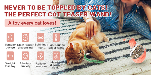 1.cat toys with treats