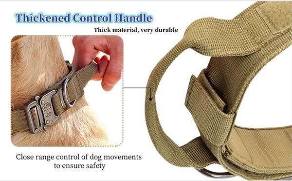 1.buckle collar dog