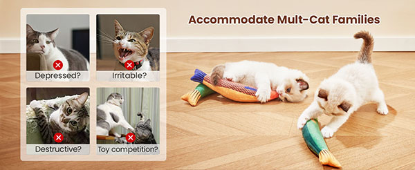 2.cat for toys