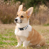 Wehao Dog Collar Stylish Durable Nylon Comfortable Adjustable Design