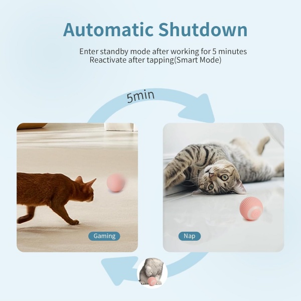 Automatic Pet Rolling Ball