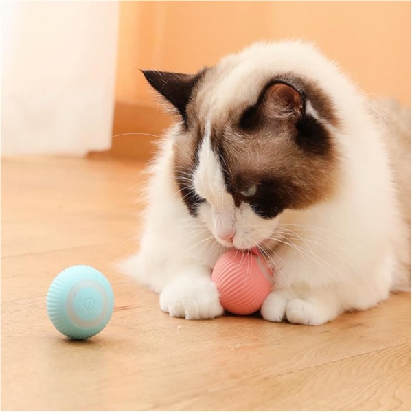 Cat Toy Factory