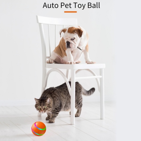 Moving Dog Toys