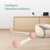 Factory Wholesale Interactive Automatic Pet Rolling Ball Toys for Cat And Dog