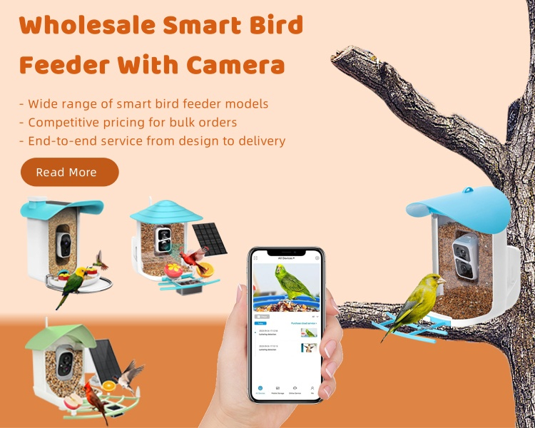 Wholesale Smart Bird Feeder With Camera