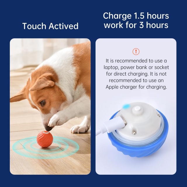 Wholesale Cheap Auto Rolling Bouncing Dog And Cat Ball Toys