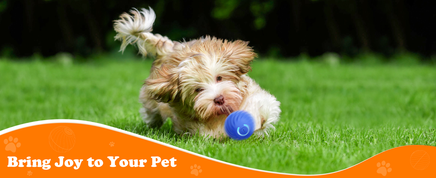 Wholesale Cat Toys
