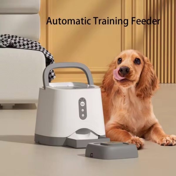 Feeding Training
