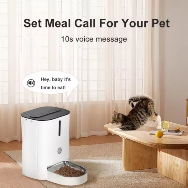 Video Interaction Pet Feeder