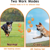 Pet Product Manufacturers Electronic Remote Interactive Ball Dog Toys