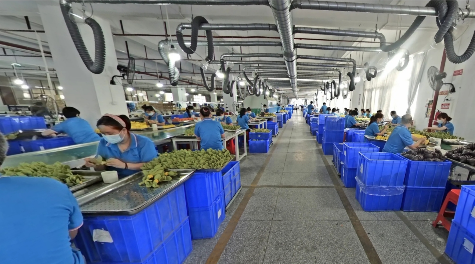 Production Line