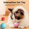 China Pet Toy Suppliers Personalised Best Auto Pet Ball Toys For Cats