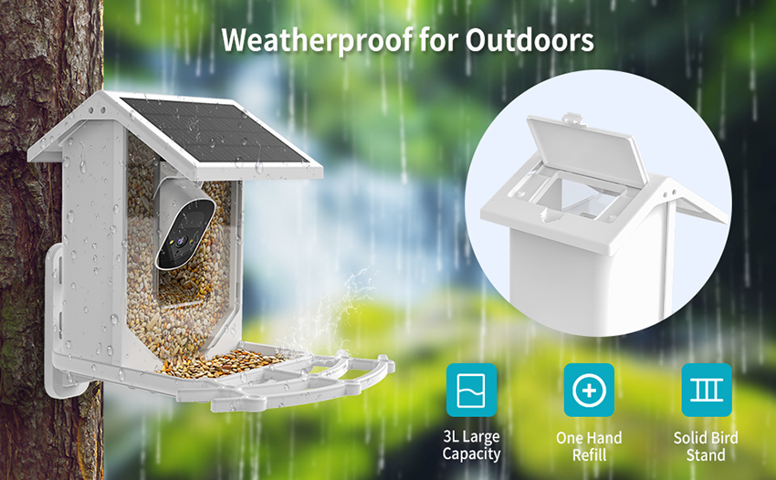 4、sharper image bird feeder with camera