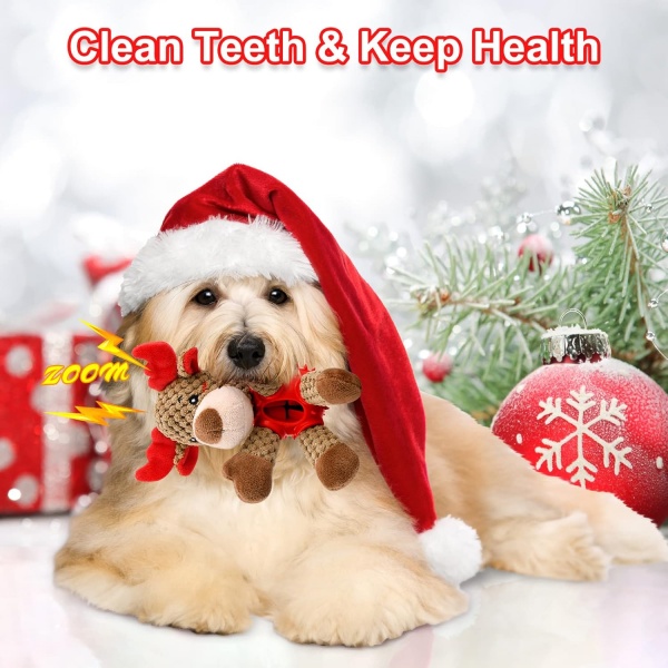Teeth Clean and Keep Health