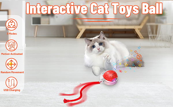 1.cat ball toys