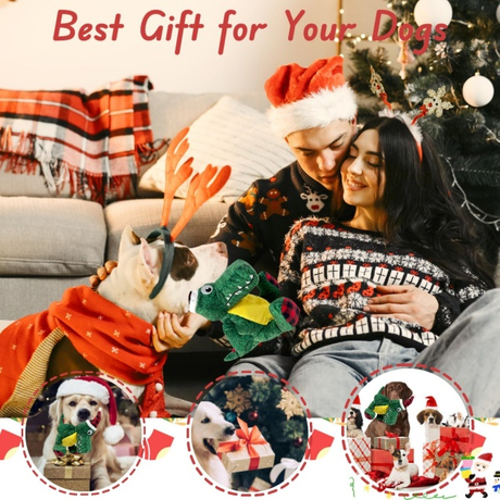 6 Best Gift for Your Dogs.jpg