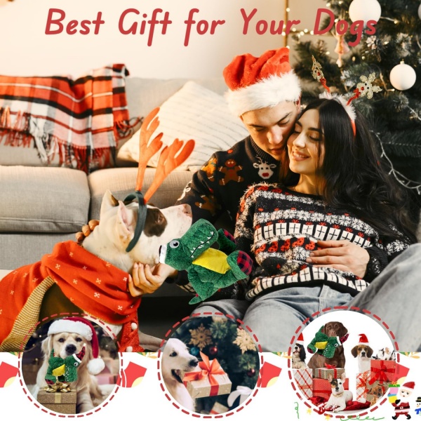 Best Gift for Your Dogs