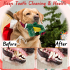 Wholesale Bulk Christmas Plush Dinosaur Dog Squeaky Toys