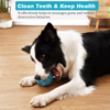 Dog Toy Companies Personalized Tough Rubber Squeaky Dog Ball Toys