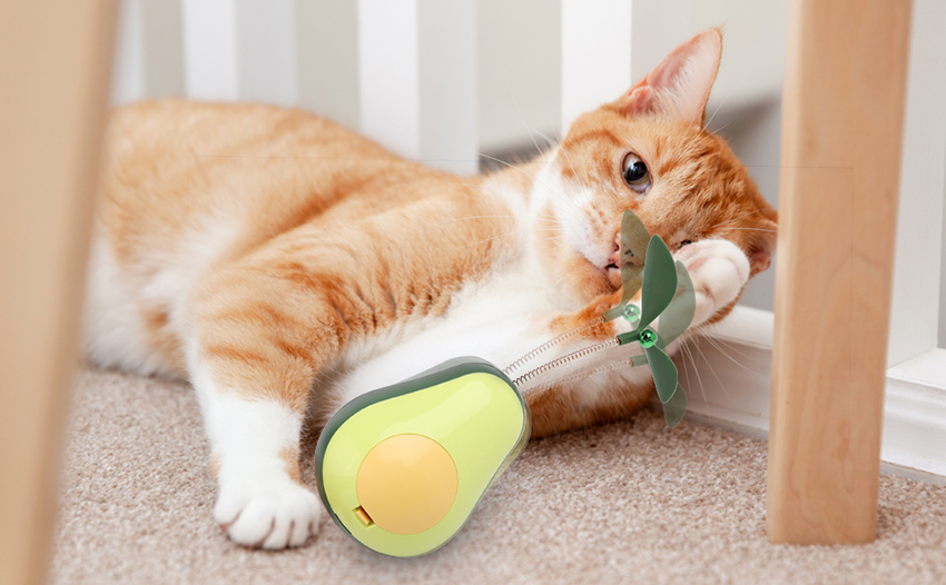 3.Interactive Tumbler Activity Catnip Toys