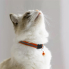 Wehao Reflective Breakaway Kitten Collar with Bell Safety