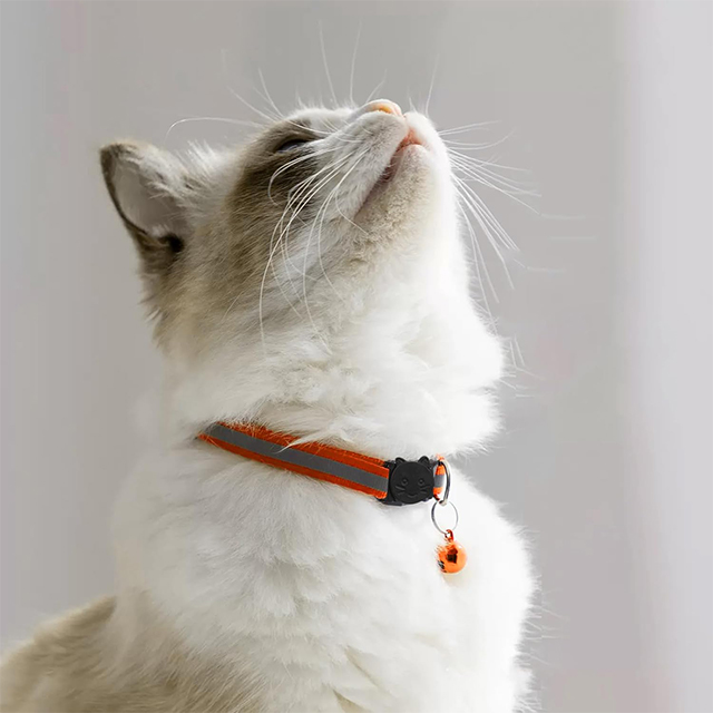 Wehao Reflective Breakaway Kitten Collar with Bell Safety