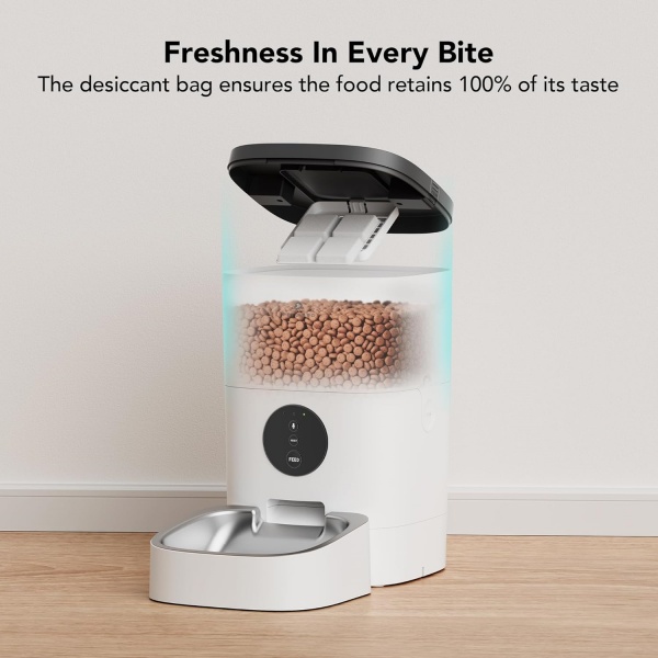 Freshness In Every Bite