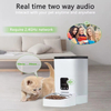 Wehao Pets 4L/6L Smart Cat feeder Dispenser
