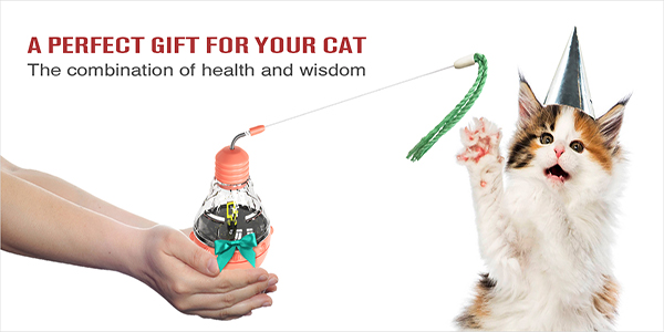 3.puzzle treat toys for cats