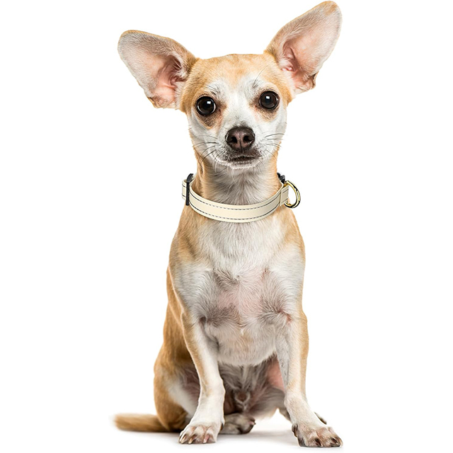 Wehao Reflective Dog Collar Adjustable Premium Nylon Safety Buckle