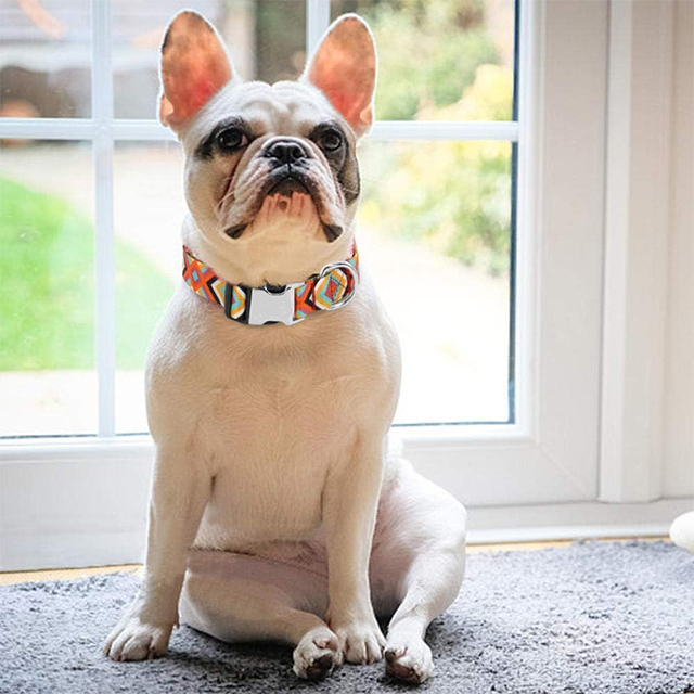 Wehao Dog Harness Comfortable Adjustable Soft Durable for Daily Use