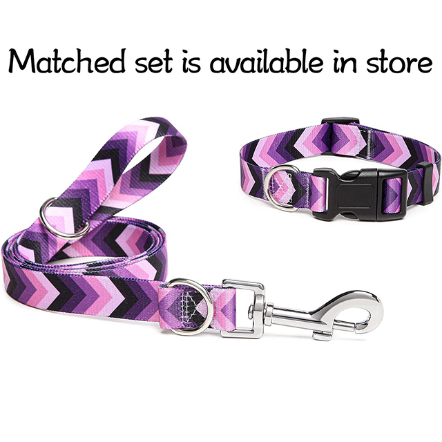 Wehao Stylish Durable Nylon Dog Collar Adjustable Comfortable