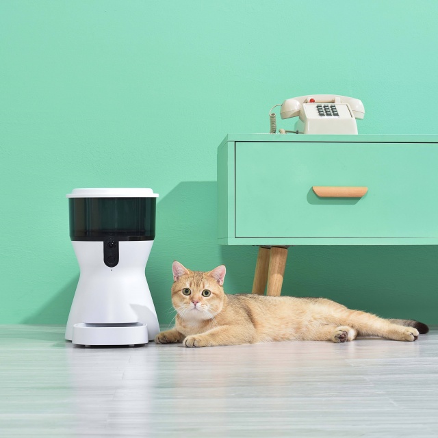 Wehao Pets 4L Automatic Pet Food Dispenser With Camera