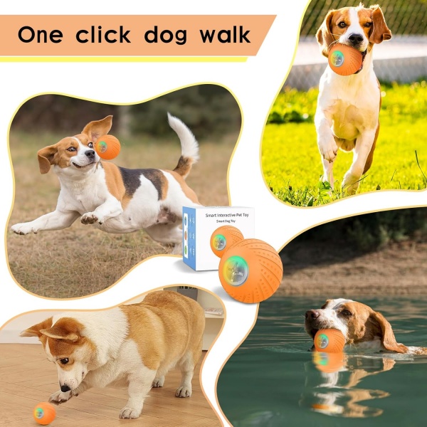 Dog Toy For Chasing
