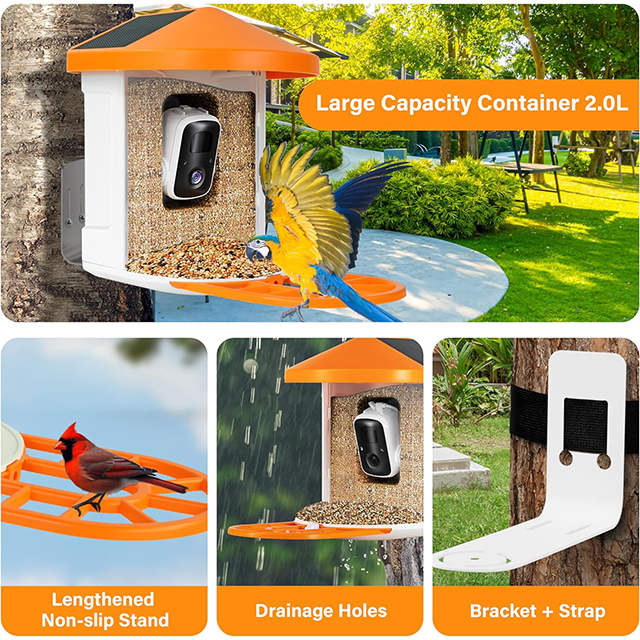 AI Identify Bird Species 11k, Auto Capture Bird Videos