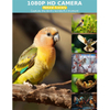 Smart AI Bird Feeder with Motion Detection And Solar Charging
