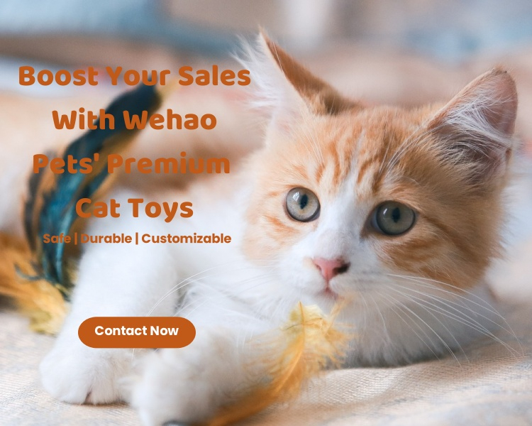 Boost Your Sales With Wehao Pets' Premium Cat Toys