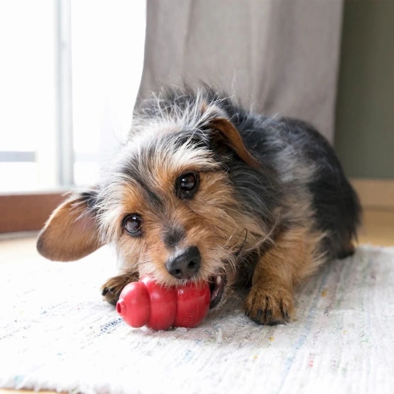 Durable Chew Toys