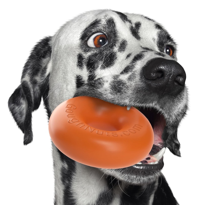 Indestructible Dog Toys