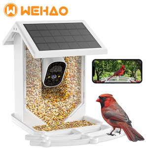 Smart Bird Feeder: HD Camera, Solar Panel, Two-Way Audio