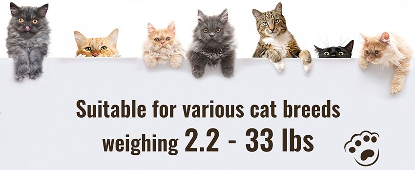 2.User-Friendly for All Ages