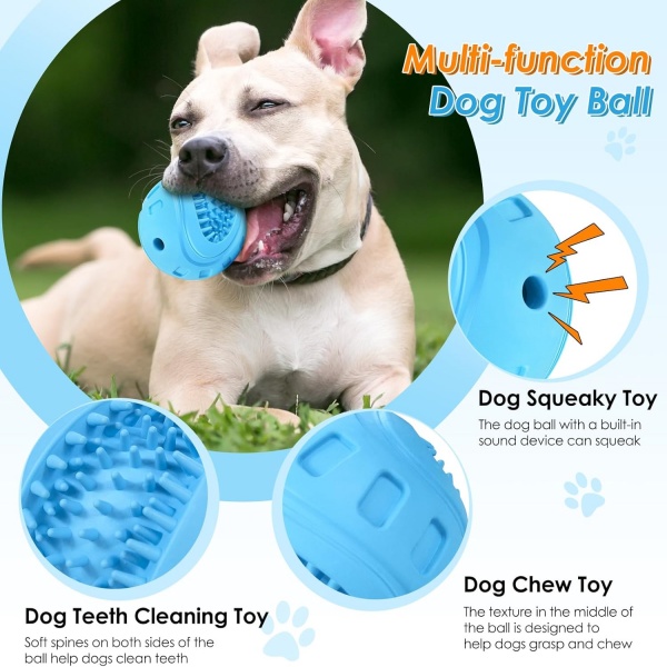 Multifunctional dog toy