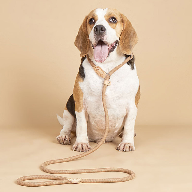 Wehao Shock Absorbent Lightweight Premium Rope Pet Leash
