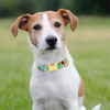 Wehao Dog Harness Comfortable Adjustable Soft Durable for Daily Use