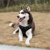 Wehao Dual Leash Dog Harness Reflective Padded Adjustable Handle