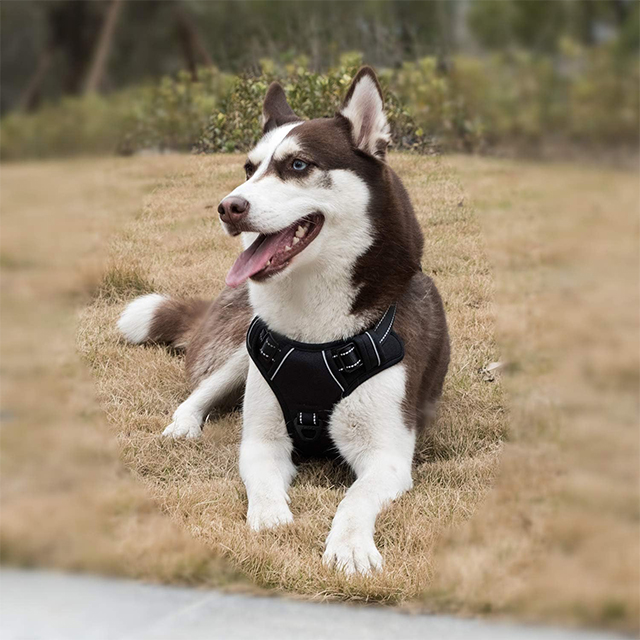 Wehao Dual Leash Dog Harness Reflective Padded Adjustable Handle